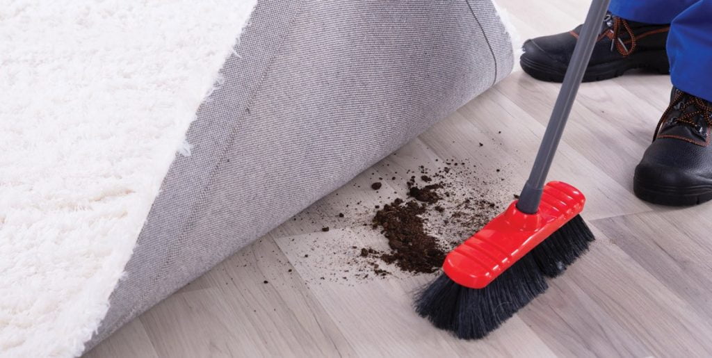 Your Cleaning Service May Be Sweeping More Than Just Dirt Under The Rug 1024x515 1